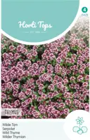 Horti tops zaden thymus, wilde tijm purperrood - afbeelding 1