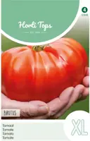 Horti tops zaden Tomaat Brutus - afbeelding 1