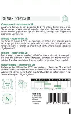 Horti tops zaden tomaten marmande vleestomaat - afbeelding 2