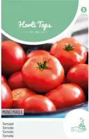 Horti tops zaden Tomaten moneymaker - afbeelding 1