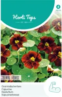 Horti tops zaden tropaeolum, oost-indische kers black velvet - afbeelding 1