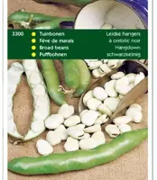 Horti tops zaden tuinbonen leidse hangers 100 gram - afbeelding 1