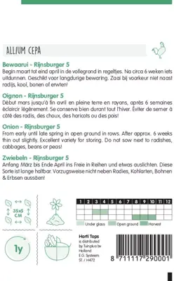 Horti tops zaden uien rijnsburger, bolronde gele - afbeelding 2