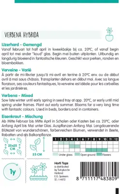 Horti tops zaden Verbena, IJzerhard gemengd - afbeelding 2