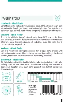 Horti tops zaden verbena, ijzerhard ideal florist gemengd - afbeelding 2