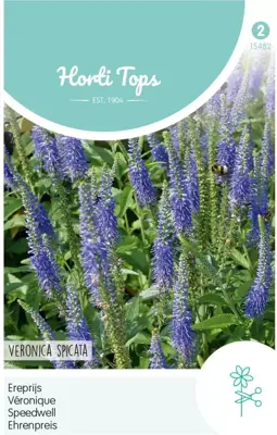 Horti tops zaden veronica, Ereprijs blauw - afbeelding 1