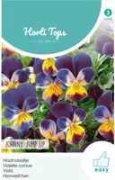 Horti tops zaden viola, hoornviooltje johnny jump up - afbeelding 1