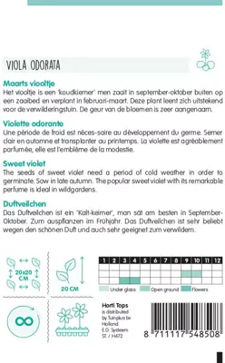 Horti tops zaden Viola, Maarts Viooltje - afbeelding 2