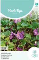 Horti tops zaden Viola, Maarts Viooltje kopen?