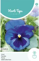 Horti tops zaden viola, viool alpenmeer - afbeelding 1