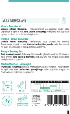 Horti tops zaden viola, viool avondrood - afbeelding 2