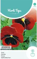 Horti tops zaden viola, viool avondrood - afbeelding 1