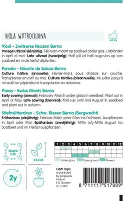 Horti tops zaden viola, viool zwitserse reuzen berna - afbeelding 2