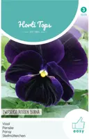 Horti tops zaden viola, viool zwitserse reuzen berna - afbeelding 1