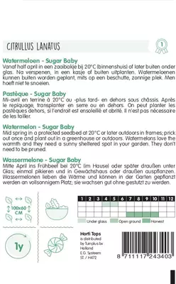 Horti tops zaden watermeloenen sugar baby - afbeelding 2