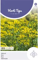 Horti tops zaden Wijnruit - afbeelding 1