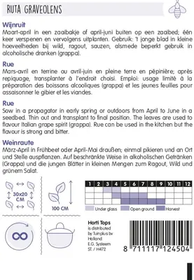 Horti tops zaden Wijnruit - afbeelding 2
