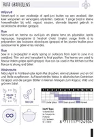 Horti tops zaden Wijnruit - afbeelding 2