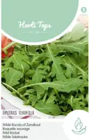 Horti tops zaden wilde rucola kopen?