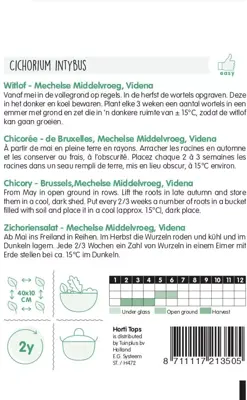 Horti tops zaden Witlof Mechelse Middelvroeg, Videna - afbeelding 2