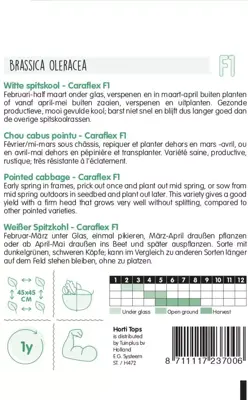 Horti tops zaden Wittekool  - afbeelding 2