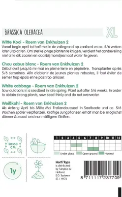 Horti tops zaden wittekool roem van enkhuizen - afbeelding 2