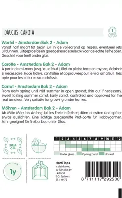 Horti tops zaden wortelen amsterdamse bak - afbeelding 2