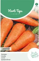 Horti tops zaden wortelen chantenay - afbeelding 1