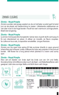 Horti tops zaden Zinnia Royal Purple violet - afbeelding 2