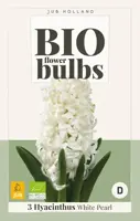 Hyacint White Pearl 3 stuks biologisch geteeld - afbeelding 2