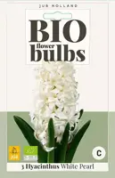 Hyacint White Pearl 3 stuks biologisch geteeld - afbeelding 1