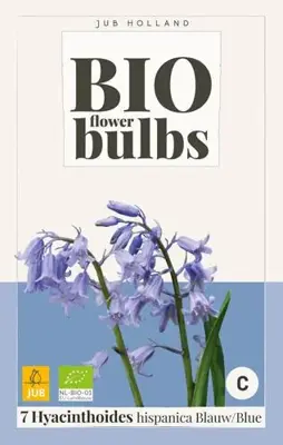 Hyacinthoides hispanica blauw 7 bloembollen - afbeelding 2