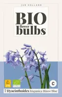 Hyacinthoides hispanica blauw 7 bloembollen - afbeelding 2