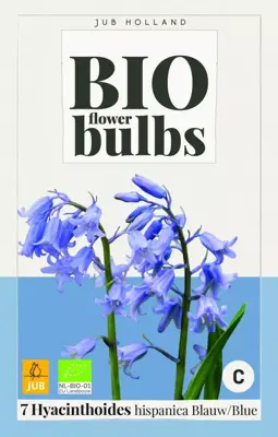 Hyacinthoides hispanica blauw 7 bloembollen - afbeelding 1