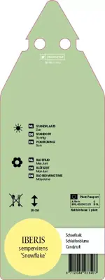 Iberis Sempervirens Snowflake (Scheefbloem) - afbeelding 2