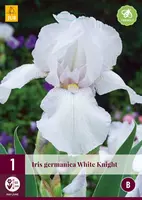 Iris germanica white knight 1 stuks - afbeelding 1