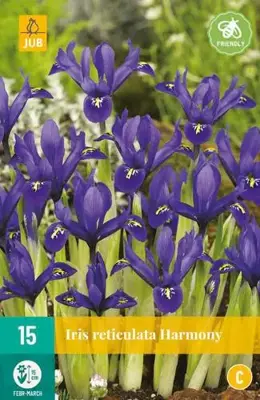 Iris Harmony 15 stuks - afbeelding 2