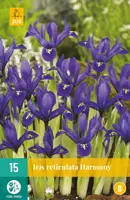Iris Harmony 15 stuks kopen?