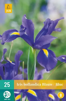 Iris hollandica blauw 25 stuks - afbeelding 1