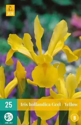 Iris hollandica geel 25 stuks - afbeelding 1