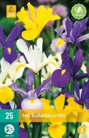 Iris hollandica mix 25 stuks - afbeelding 2
