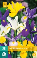 Iris hollandica mix 25 stuks kopen?