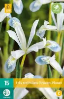 Iris ret. frozen planet 15st - afbeelding 2
