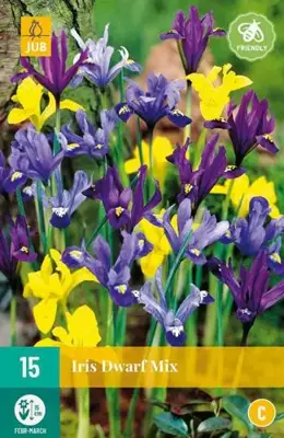 Iris species mix 15 stuks - afbeelding 2