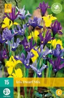Iris species mix 15 stuks - afbeelding 2