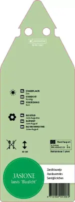 Jasione Laevis Blaulicht (Zandblauwtje) - afbeelding 2