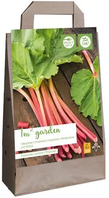 JUB Garden Tas Rabarber Victoria (5 stuks) - afbeelding 1