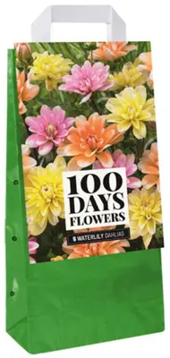 JUB Holland - Tas Dahlia Waterlelie Mix – 5 bollen - afbeelding 1