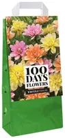 JUB Holland - Tas Dahlia Waterlelie Mix – 5 bollen - afbeelding 1
