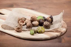 Juglans regia (Walnoot) fruitplant 100cm - afbeelding 3